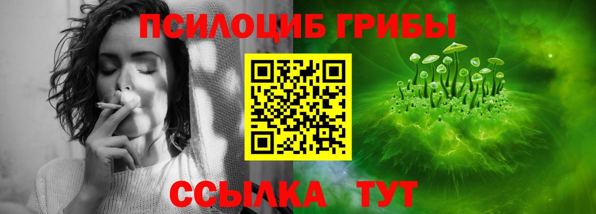 Псилоцибиновые грибы Psilocybe Надым