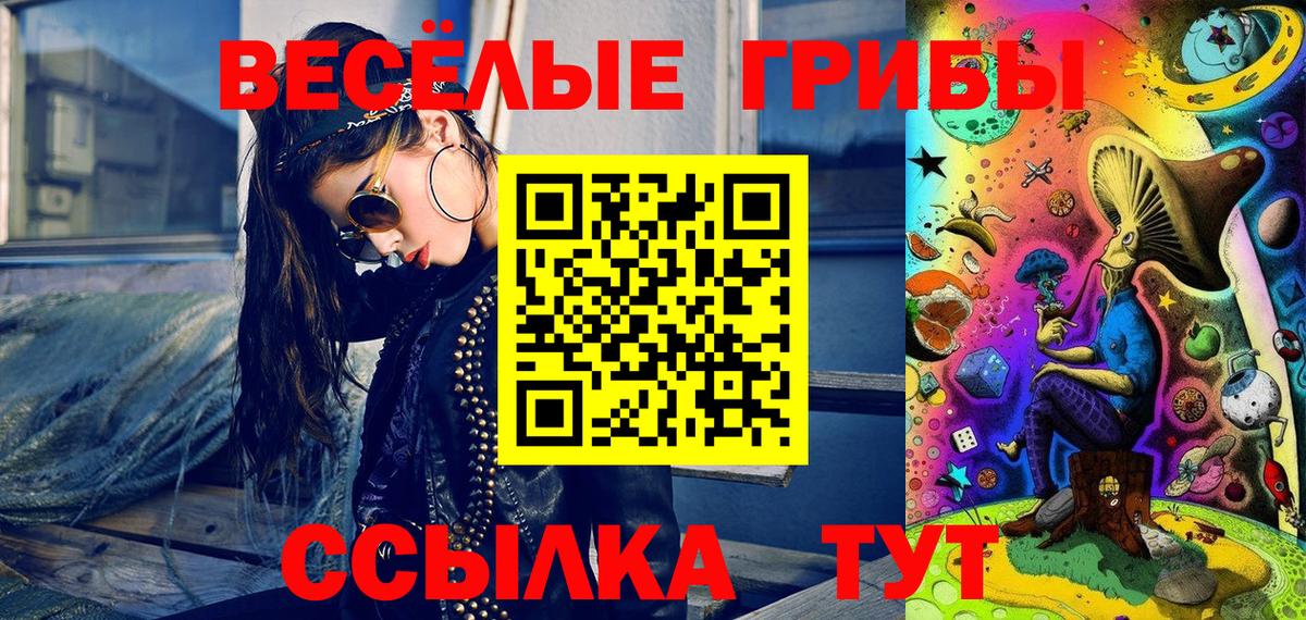 дарнет шоп  Вход с VPN  Надым  Галлюциногенные грибы GOLDEN TEACHER 